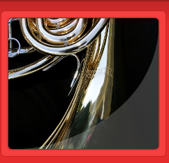 Musical Instrument Store